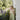 Key Lime Easy Straight Leg Pant - Dear Claiborne