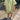 Key Lime Play Short - Dear Claiborne