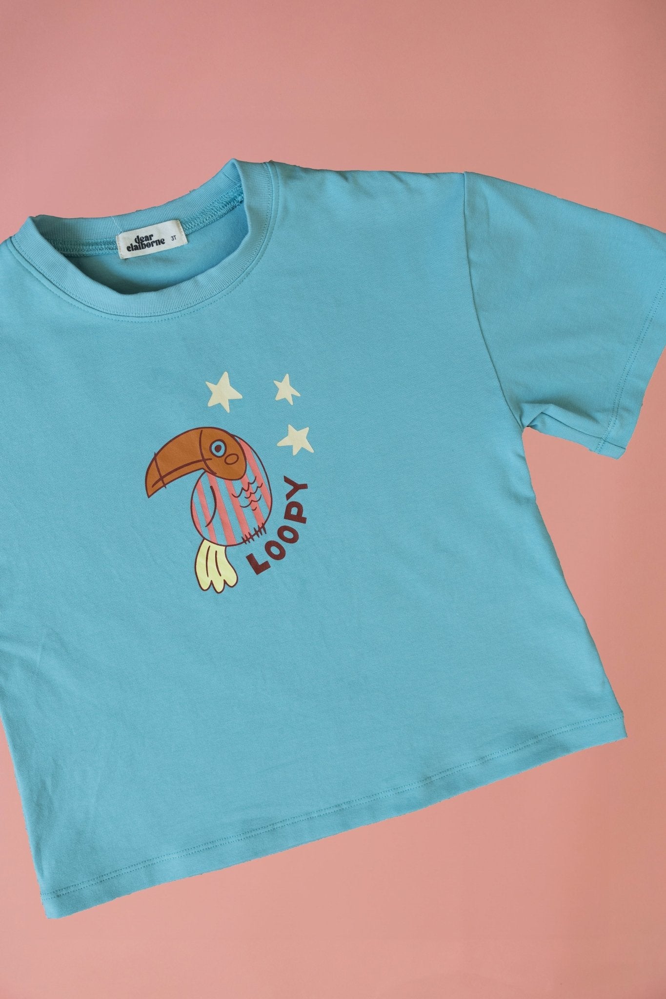 Loopy Boxy Tee - Dear Claiborne