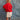 On the Dot Play Shorts - Dear Claiborne