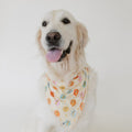 The Fam Bandana - Dear Claiborne